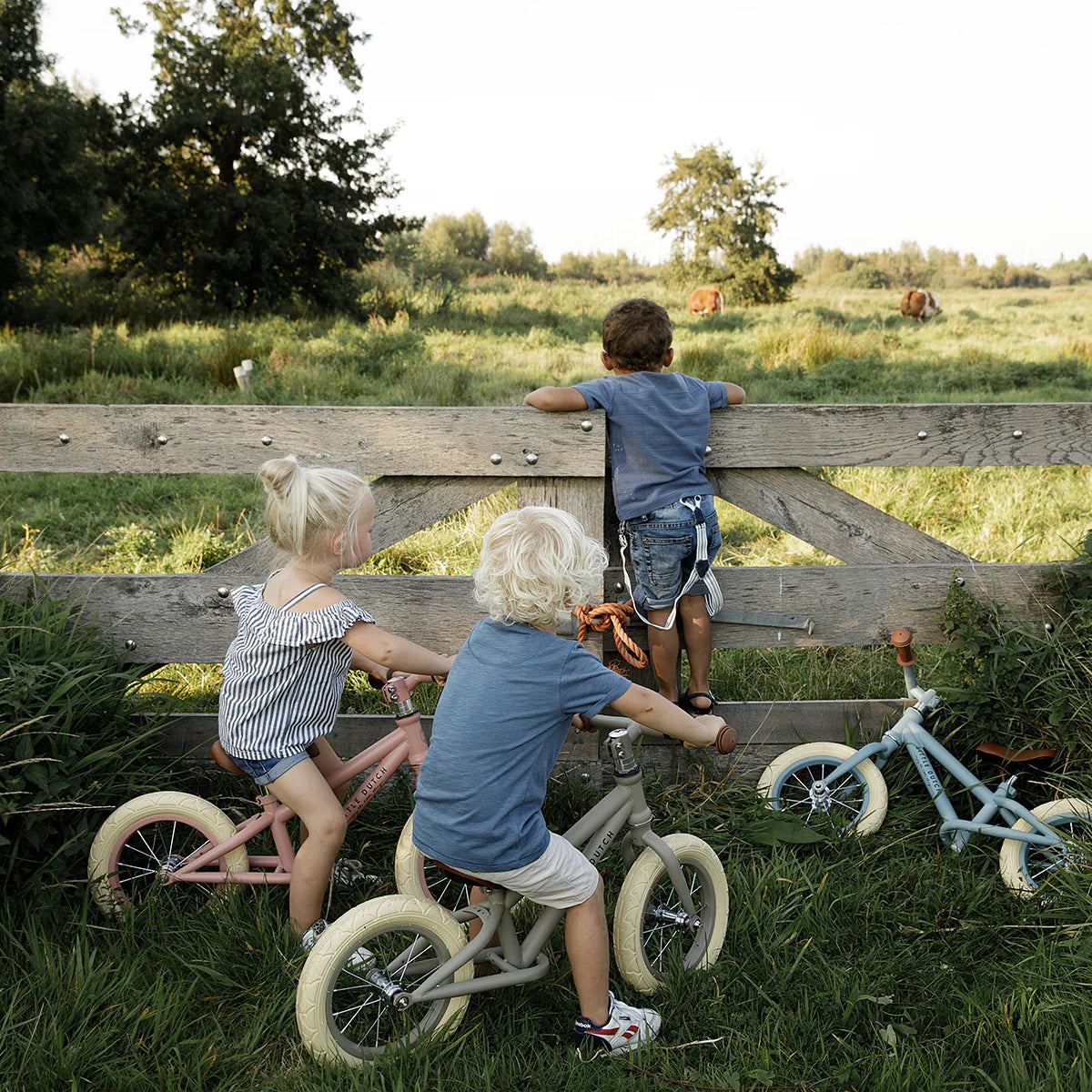 Little Dutch Loopfiets Mat Olijf