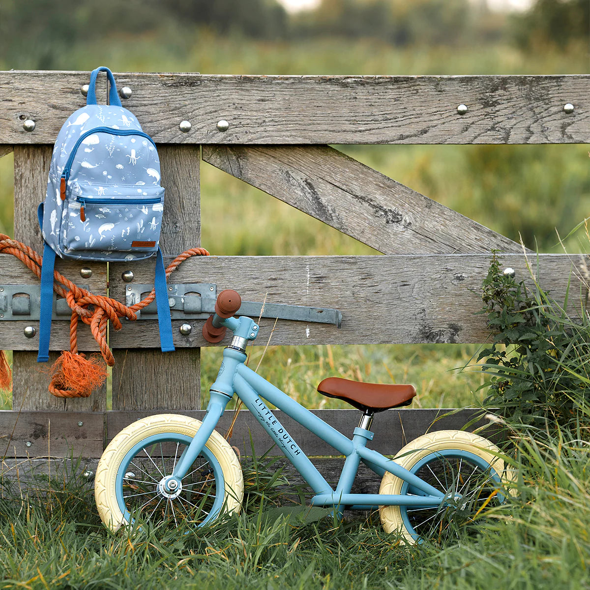 Little Dutch Loopfiets Mat Blauw