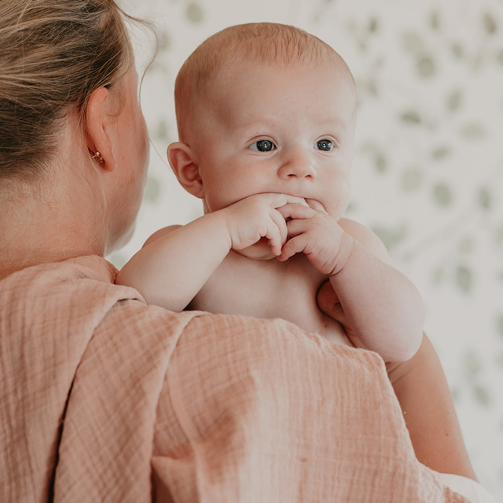 Bibs Muslin Cloth - Blush